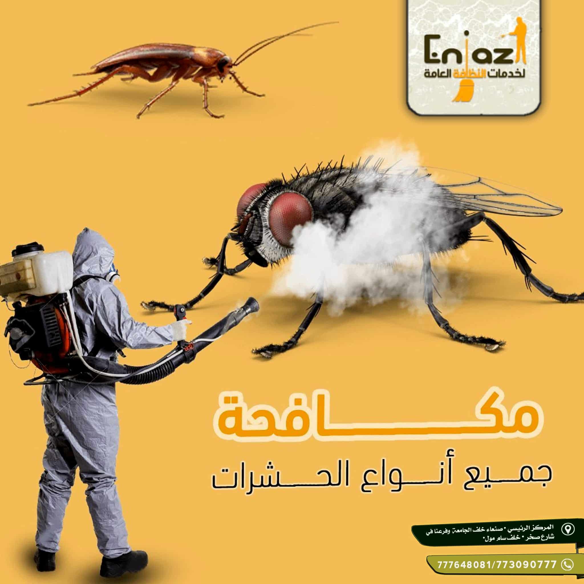 مكافحة الحشرات والقوارض